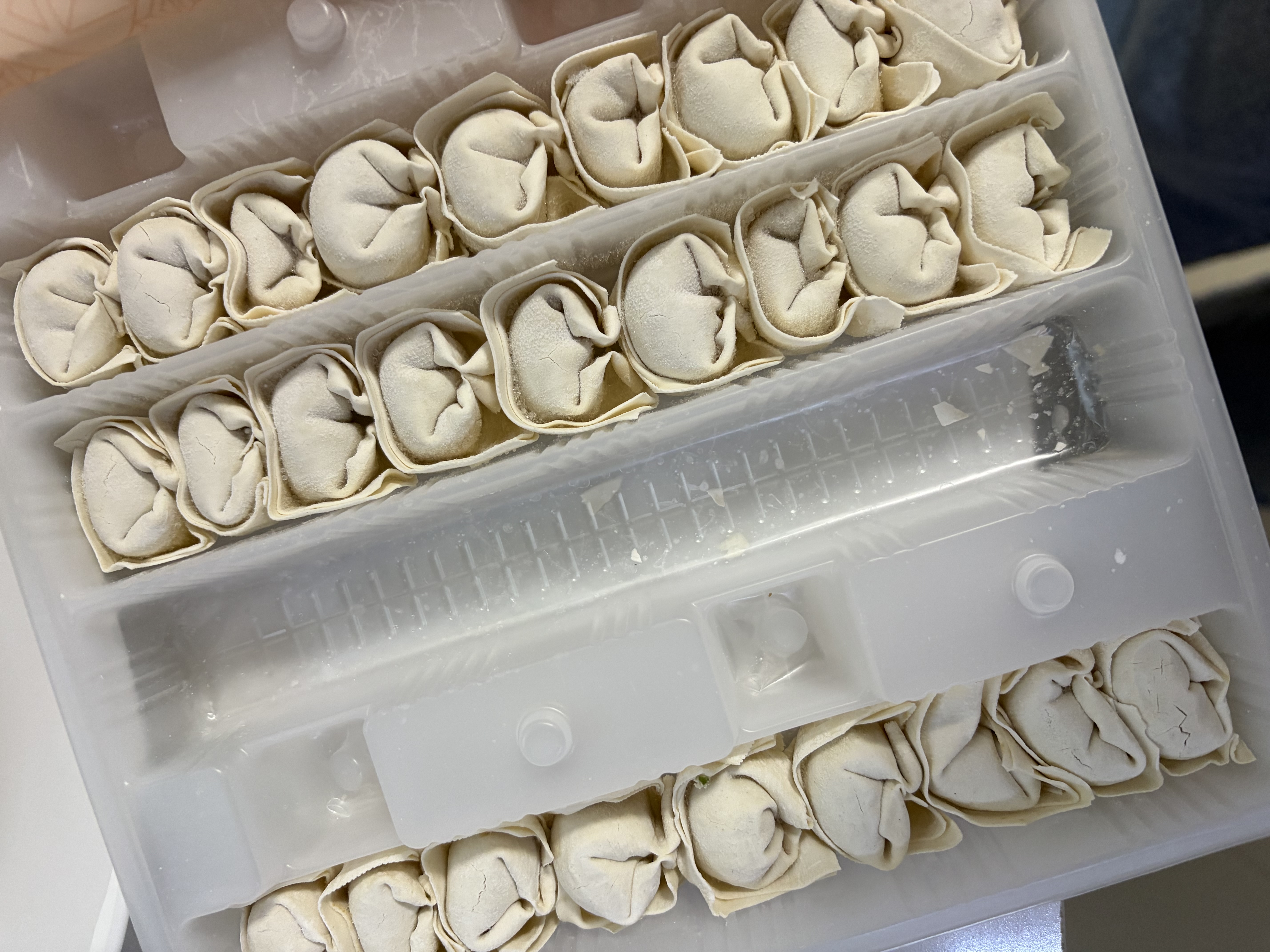 合口味福建小云吞 600g 约90只 手工小馄饨 皮薄早餐速食宵夜冰冻健康 实拍图