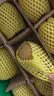 佳沛（zespri）新西兰 金奇异果特大果15粒134-146g猕猴桃水果礼盒 实拍图