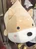 名创优品（MINISO）趴趴小狗玩偶抱枕毛绒公仔儿童玩具宿舍沙发靠枕床上陪伴抱睡礼物 实拍图