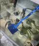 宠街坊水族箱玻璃鱼缸清洁刷长柄鱼缸刷子加长鱼缸玻璃擦棉刷1个装 实拍图