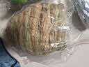 派乐特 鸟窝鹦鹉窝草编鸟巢鸟窝用品 葫芦形L号 实拍图