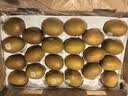 佳沛（zespri）新西兰金奇异果22粒巨大原箱146-175g猕猴桃水果礼盒 实拍图