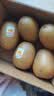 佳沛（zespri）新西兰金奇异果猕猴桃 5粒装 单果约88-103g 水果源头直发 实拍图