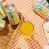宏宝莱汽场 330ml*24罐 气泡果汁汽水 饮料 凤梨味碳酸饮品 整箱罐装 实拍图