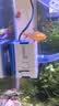 森森耀蓝鱼缸水泵小型潜水泵过滤泵抽水泵YQP-300 3W 实拍图