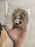 良品铺子全麦黑麦坚果车轮面包早餐大列巴面包吐司欧包出游500g（原味） 实拍图
