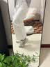 亚瑟士ASICS女鞋网面跑鞋百搭缓震运动鞋透气跑步鞋 GEL-CONTEND 4 白色/银色 36 实拍图