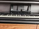 雅马哈（YAMAHA）PSR-E383 儿童成年娱乐学习专业演奏教学力度键电子琴61键 实拍图