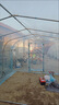 鹿凌青家用温室花房花棚暖房蔬菜大棚骨架防雨防晒阳台楼顶植物保暖棚 4米长2.5米宽2米高+加厚无滴膜 实拍图