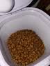 皇家猫粮 布偶成猫粮 RA32 通用粮 12月以上 2KG【宠物金选】 实拍图