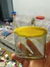 网红咸菜碗玻璃密封罐加厚酱菜盒冰箱保鲜罐小菜泡菜罐分装盒 两只随机装 2个 180ml 实拍图