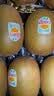 佳沛（zespri）金奇异果25-27粒原箱特大果124-146g猕猴桃水果礼盒 实拍图