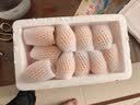 京觅云南蒙自枇杷 净重2斤 单果20g+当季新鲜水果枇杷果 源头直发 实拍图