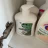滴露（Dettol）洗手液松木500g瓶 健康抑菌消毒非补充装 儿童家庭用清爽去油 实拍图