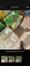 佳沛（zespri）新西兰金奇异果22粒巨大原箱146-175g猕猴桃水果礼盒 实拍图