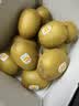 佳沛（zespri）新西兰金奇异果15粒巨大果146-175g猕猴桃水果礼盒 实拍图