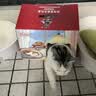 卧龙锅巴零食休闲食品非遗小吃襄阳特产750g 猫窝礼盒15g*50包 实拍图