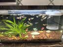 森森鱼缸增氧泵水族箱氧气泵LQE-50家用小型充氧泵3W单孔+全套配件 实拍图