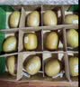 佳沛（zespri）新西兰金奇异果12粒特大果124-146g猕猴桃水果礼盒 实拍图