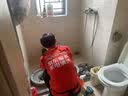 京东家政 家电清洗 洗衣机清洗波轮洗衣机全拆洗 上门服务清洁 实拍图