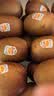 佳沛（zespri）新西兰金奇异果22粒巨大原箱146-175g猕猴桃水果礼盒 实拍图