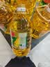 金龙鱼 食用油 非转基因 物理压榨玉米油6.18L（蕴含植物甾醇） 实拍图