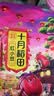 十月稻田 红小豆 2斤 红豆沙 打豆浆 杂粮粗粮真空装 大米伴侣 八宝粥原料 实拍图