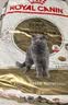 皇家猫粮 英短成猫粮 BS34 通用粮 12月以上 10KG【宠物金选】 实拍图
