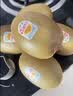 佳沛（zespri）金奇异果25-27粒原箱特大果124-146g猕猴桃水果礼盒 实拍图