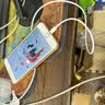 Apple/苹果 type-c转lightning闪电充电线-1米 手机数据线 旗舰店原装苹果iPhone 14 Pro Max快充线 实拍图