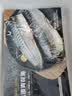 1号会员店（One's Member）挪威盐渍青花鱼 净重908g 深海鲭鱼 生鲜食材 低脂健身 鱼类海鲜 实拍图