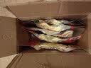 百世兴酒鬼花生大包装熟花生米下酒菜炒货办公室休闲食品解馋小零食小吃 【20袋*18g】麻辣味 实拍图