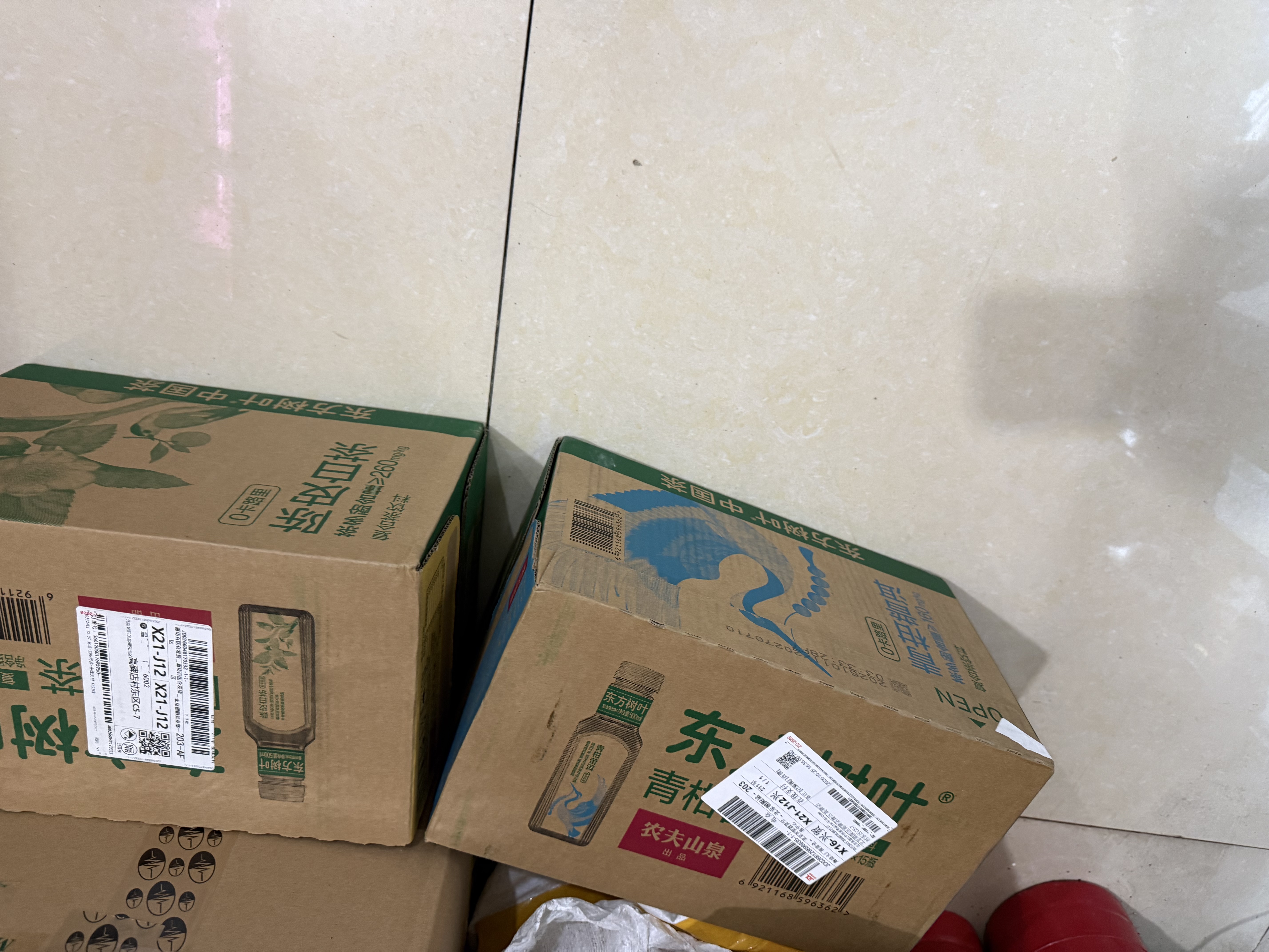 农夫山泉东方树叶陈皮白茶500ml*15瓶无糖茶饮料0糖0脂0卡整箱 实拍图