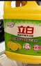 立白清新柠檬洗洁精大桶1.5kg 除味去油腥餐具净洗涤灵洗碗液随机发货 实拍图