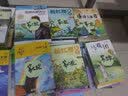 成长文库 世界少年文学精选 青少版：格兰特船长的儿女暑期阅读；课外阅读推荐 实拍图