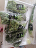 地之源有机香菜  芫荽  新鲜蔬菜生鲜  现摘现发新鲜到家 500g 实拍图