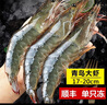 当天海捕鲜活冷冻水产青岛大虾4斤装白对虾基围虾青虾盐冻虾特大 3.5斤(净重)  带冰4斤净虾3.5斤 12-14厘米（90-100只） 实拍图