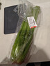 西芹750g 实拍图