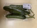 【水果菜】荷兰水果黄瓜约400g 实拍图