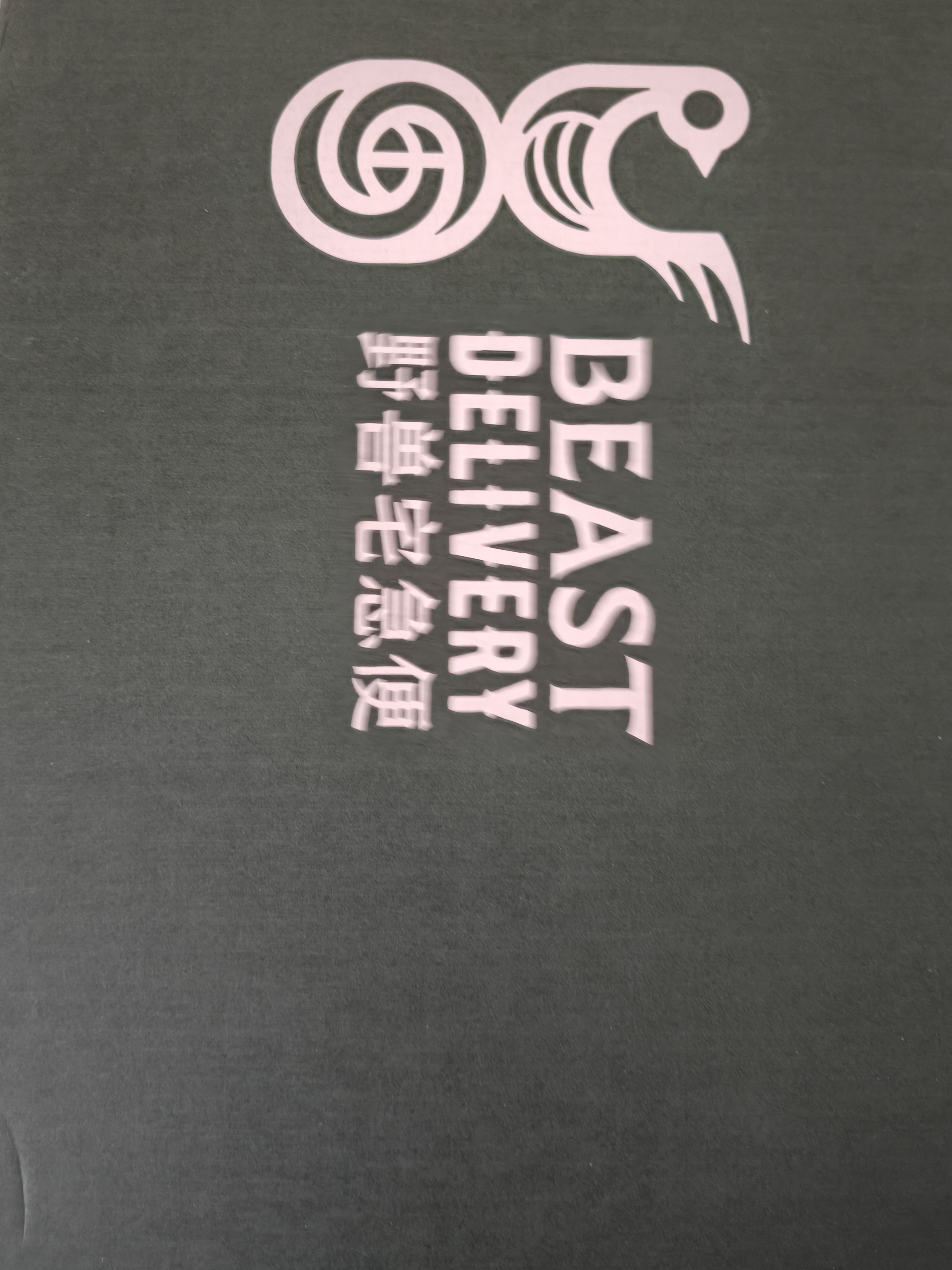 野兽派（THE BEAST）Jungle巴黎周末香薰蜡烛礼盒室内香薰生日礼物 实拍图