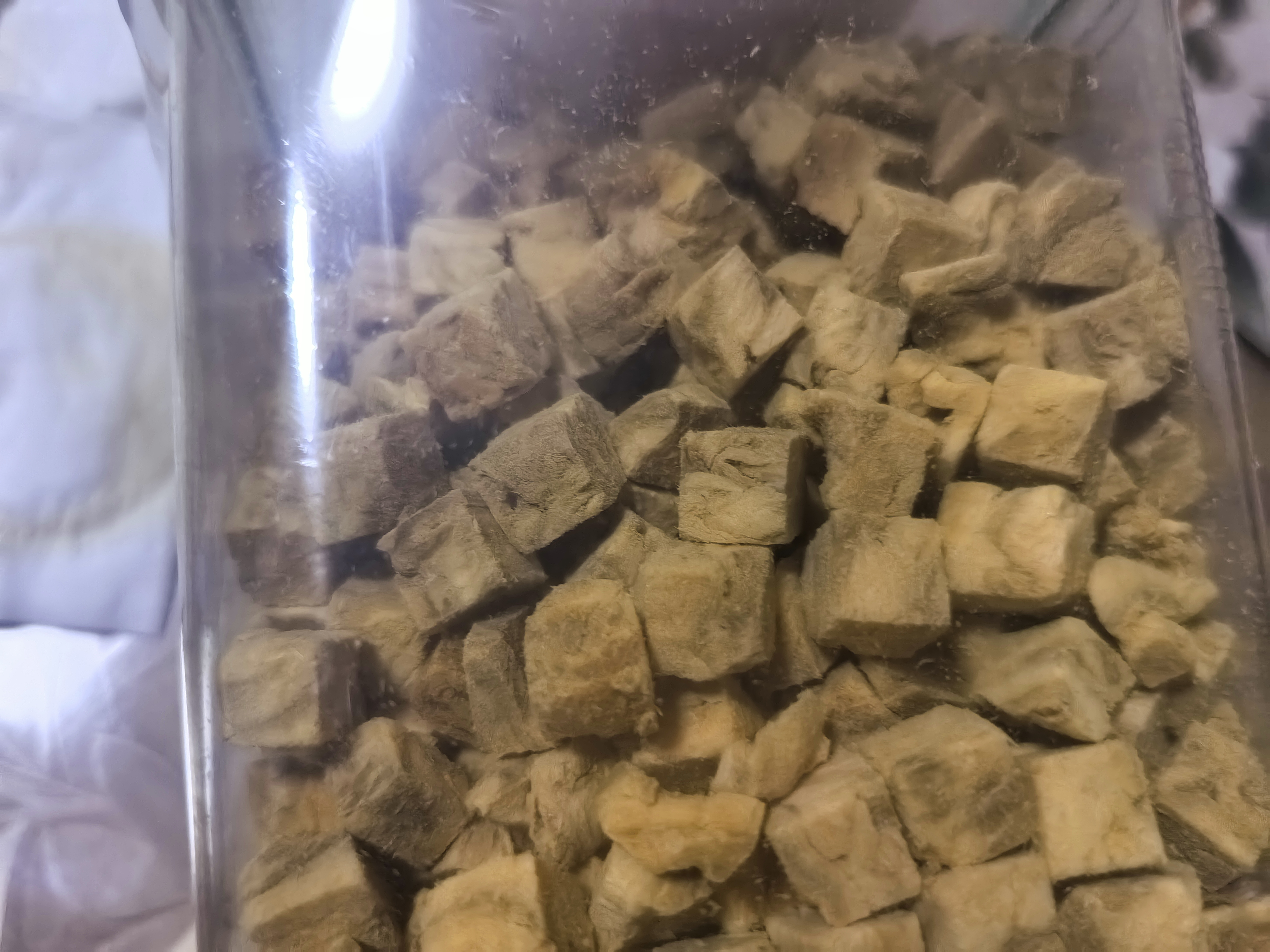 WEYES冻干三文鱼500g桶装成幼猫狗宠物零食冻干鱼肉干营养补充 实拍图