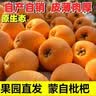 京觅云南蒙自枇杷 净重2斤 单果20g+当季新鲜水果枇杷果 源头直发 实拍图
