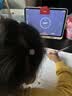 学而思学习机P4焕新款 学习平板【保价双11 享两年只换不修】幼小初高全科学 性价比优选 12.1英寸6+128G 实拍图