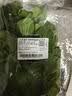 上海青约500g(油菜) 实拍图
