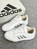 adidas ENTRAP美式校园风运动鞋少年感复古篮球风板鞋阿迪达斯   白/金色   37 实拍图