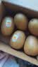 佳沛（zespri）新西兰金奇异果猕猴桃 5粒装 单果约88-103g 水果源头直发 实拍图