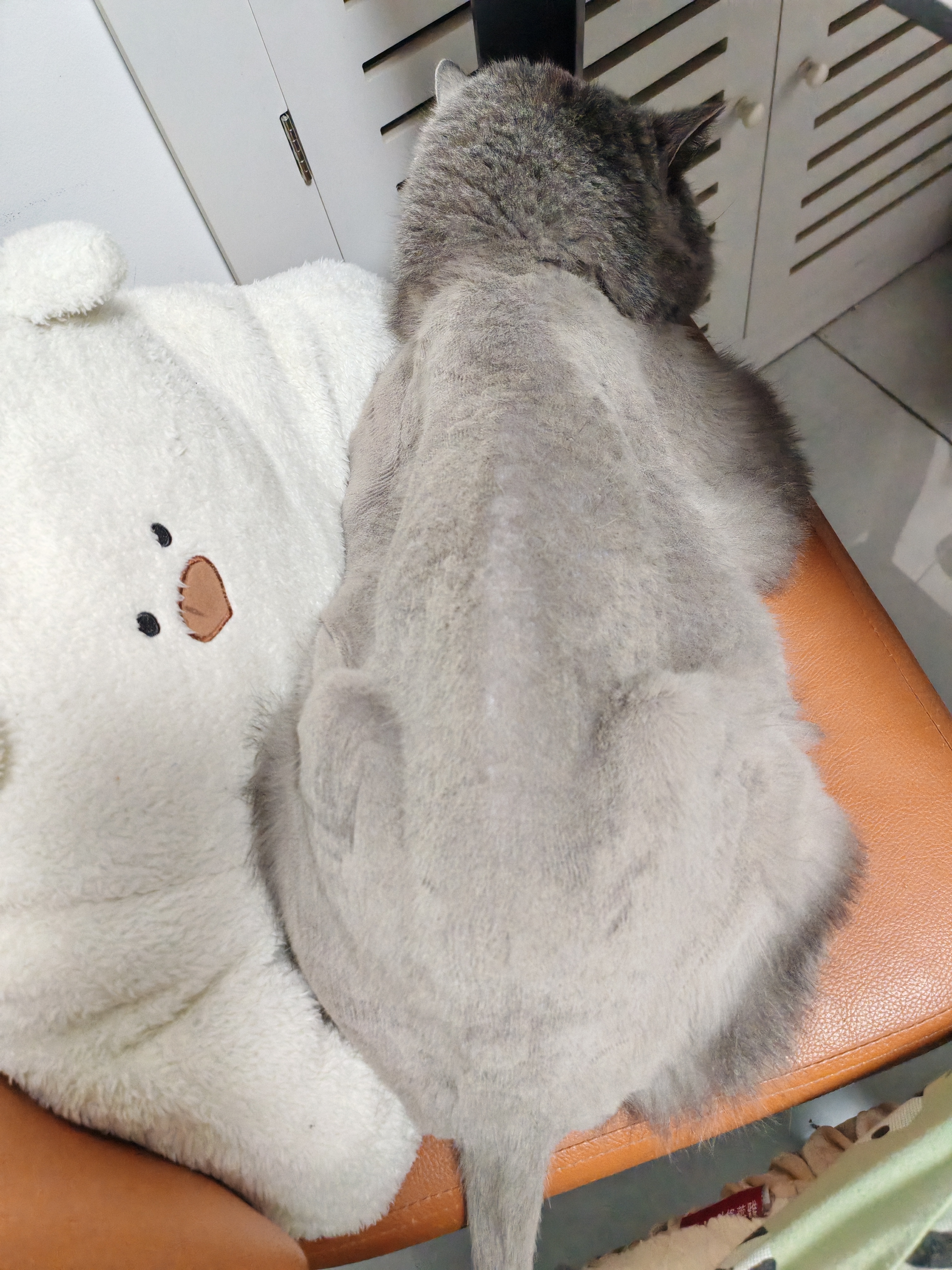 奥丁（ODIN）猫粮 鲜肉美毛 幼猫成猫美短英短蓝猫暹罗猫 鱼肉味天然猫粮2kg 实拍图