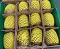 佳沛（zespri）新西兰金奇异果12粒特大果124-146g猕猴桃水果礼盒 实拍图