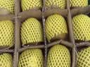 佳沛（zespri）新西兰金奇异果10粒巨大果146-175g猕猴桃水果礼盒 实拍图
