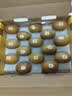 佳沛（zespri）新西兰金奇异果15粒巨大果146-175g猕猴桃水果礼盒 实拍图